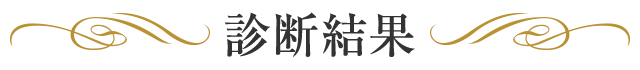 診断結果